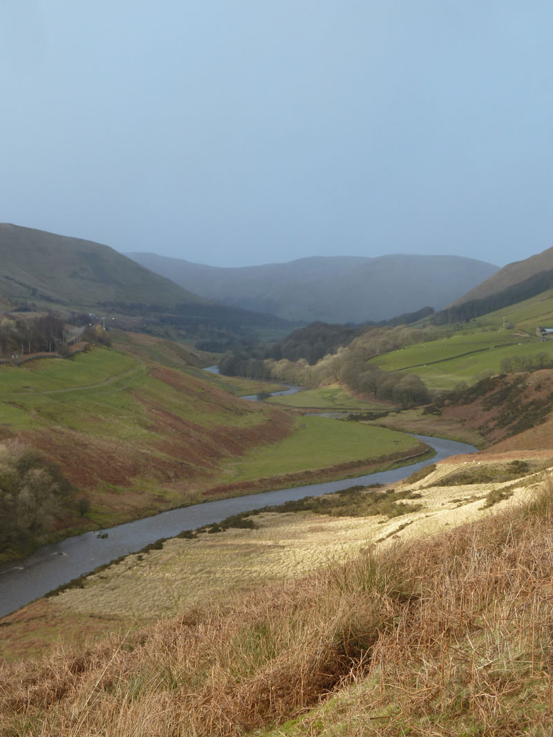 Wintry Shower